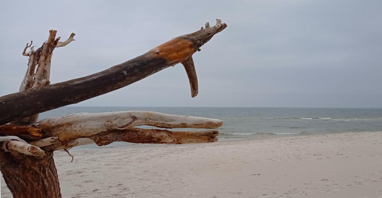 Private Seaside Home ซาชิโน ภายนอก รูปภาพ